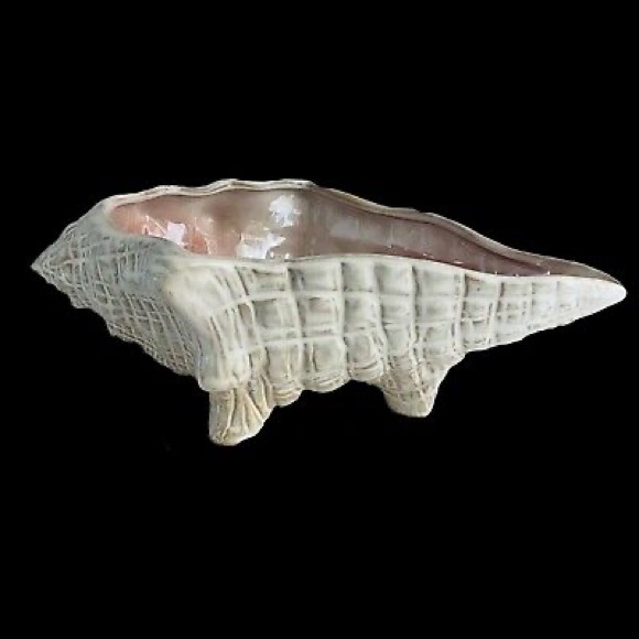 Pottery Barn Enchantment Under the Sea Pearlescent Glazed Conch Shell Bowl 🐚 - Picture 13 of 17